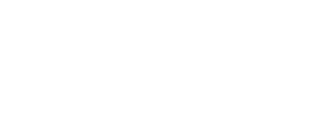 Raiconet Logística Mundial